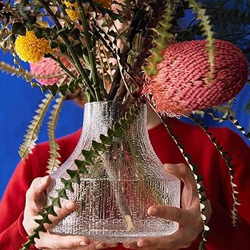 71M6gG+zDML._AC_UF350,